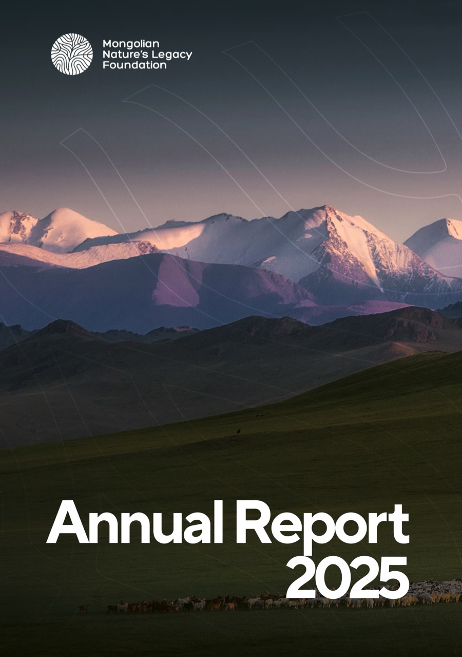 Cover of the Annual Report 2025
