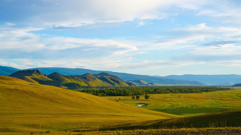 A green valley with scattered trees under a bright sky