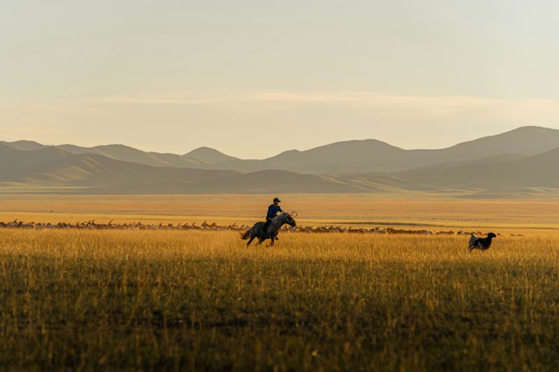 A rider on horseback at sunset
