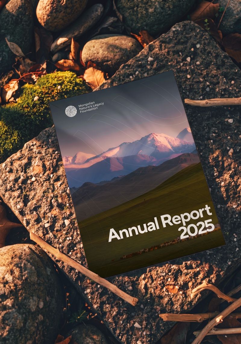 The printed Annual Report 2025 lying on sunlit rocks